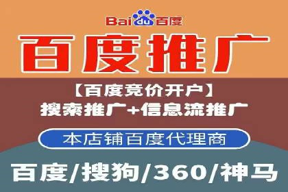 百度平台推广策略及成功案例解析
